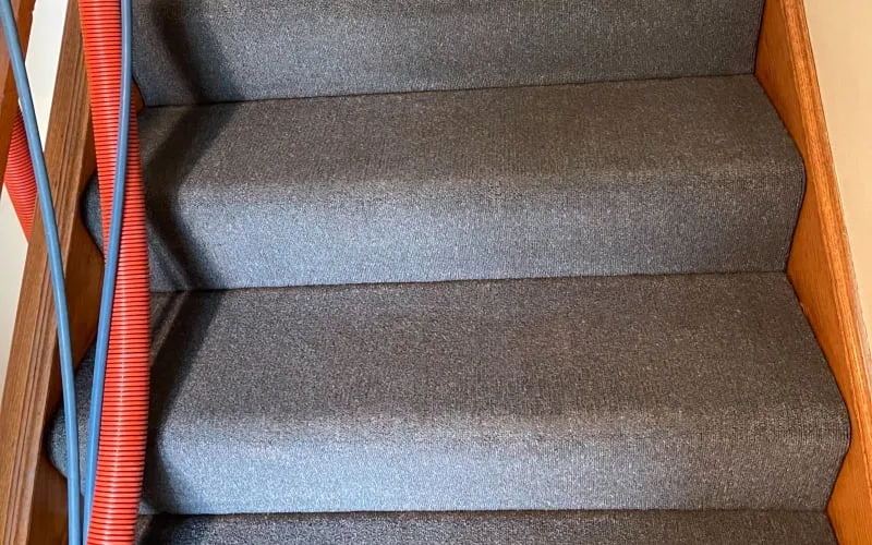 commercial carpet cleaning