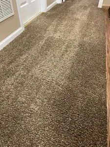 clean carpet