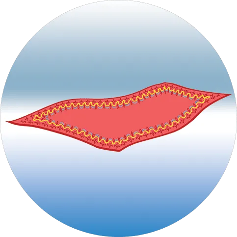 rug cleaning rug cleaning