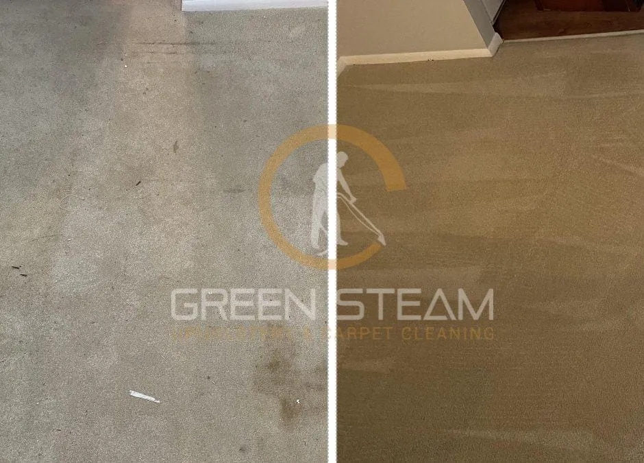 Is Professional Carpet Cleaning Worth It?
