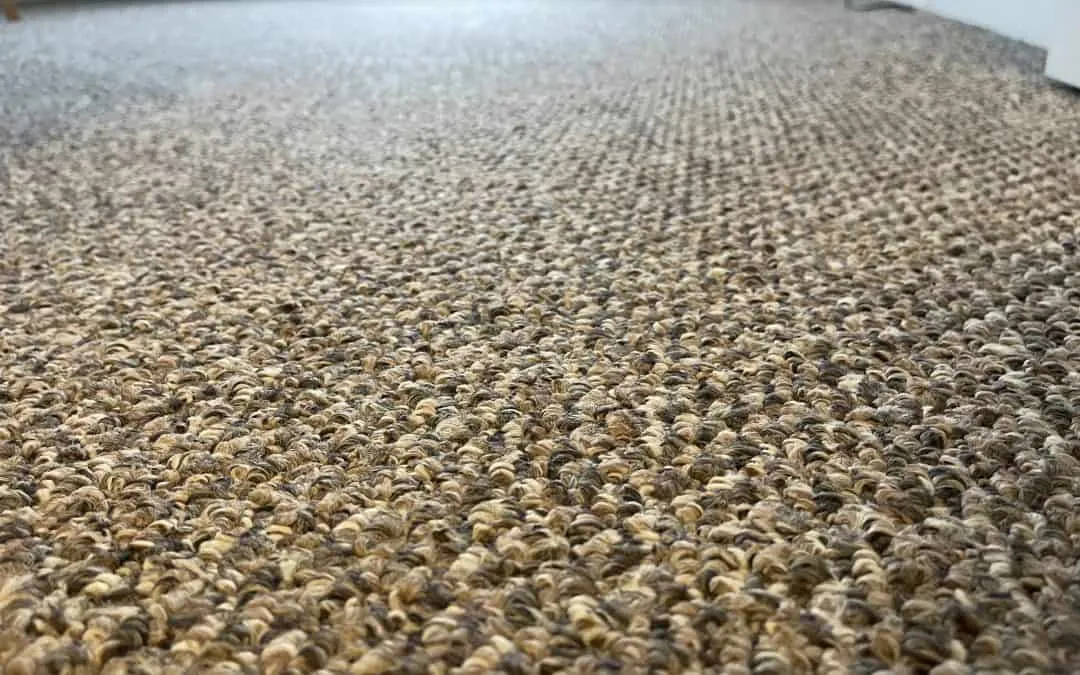 Carpet Cleaning Professional Vs Doing It Yourself