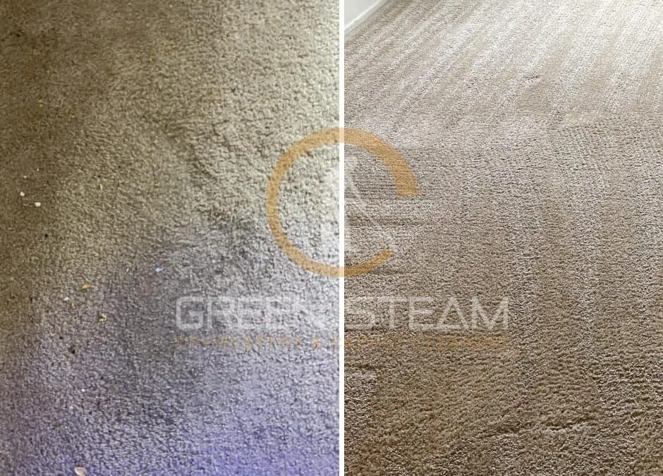 Remove Old Coffee Stains & Prevent Them Coming Back